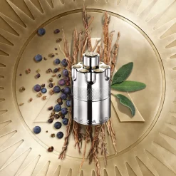 Azzaro Wanted 100ml eau de parfum spray