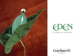 Cacharel Eden 50ml eau de parfum spray