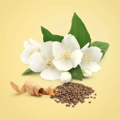 Calvin Klein Beauty 100ml eau de parfum spray