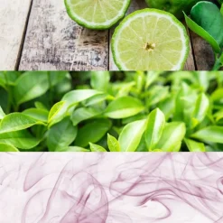 Calvin Klein CK One 100ml eau de toilette spray