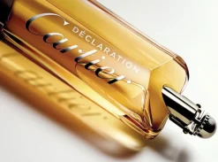 Cartier Declaration 100ml parfum spray