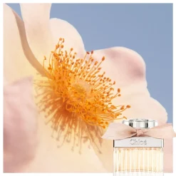 Chloe 30ml eau de parfum spray