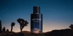 Christian Dior Sauvage 200ml eau de parfum spray