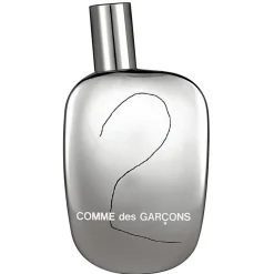 Comme des Garçons 2 100ml eau de parfum spray
