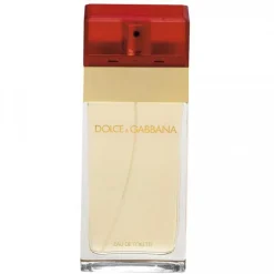 Dolce & Gabbana Pour Femme 100ml eau de toilette spray 1e versie