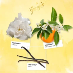 Giorgio Beverly Hills Giorgio 236ml Fragrance Mist