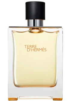 Hermes Terre d'Hermes 200ml eau de toilette spray