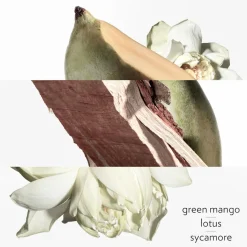 Hermes Un Jardin Sur le Nil 100ml eau de toilette spray