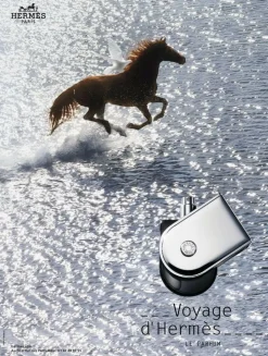 Hermes Voyage 100ml parfum spray