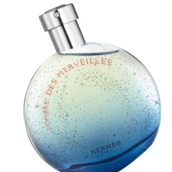 Hermès L'Ombre des Merveilles 100ml eau de parfum spray
