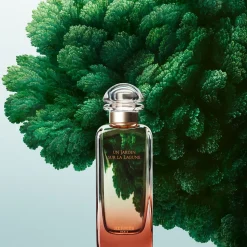 Hermès Un Jardin Sur La Lagune 30ml eau de toilette spray