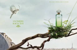 Hermès Un Jardin Sur le Toit 50ml eau de toilette spray