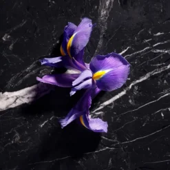 Joop Homme Le Parfum 75ml Parfum Spray