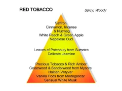 Mancera Red Tobacco 120ml eau de parfum spray