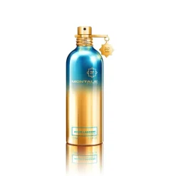Montale Aoud Lagoon 100ml eau de parfum spray