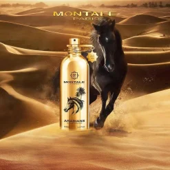 Montale Arabians 100ml eau de parfum spray