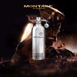 Montale Chocolate Greedy 100ml eau de parfum spray