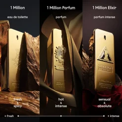 Paco Rabanne 1 Million Elixir 100ml Parfum Spray