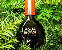 Puig Agua Brava 100ml eau de cologne spray
