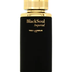 Ted Lapidus Black Soul Imperial 100ml eau de toilette spray