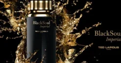 Ted Lapidus Black Soul Imperial 100ml eau de toilette spray