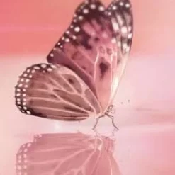 Viktor & Rolf Flowerbomb Nectar 90ml eau de parfum spray