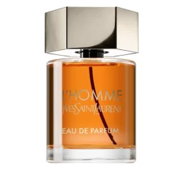 YSL Yves Saint Laurent L'Homme 100ml eau de parfum spray