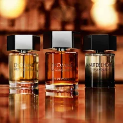 YSL Yves Saint Laurent L'Homme 100ml eau de parfum spray